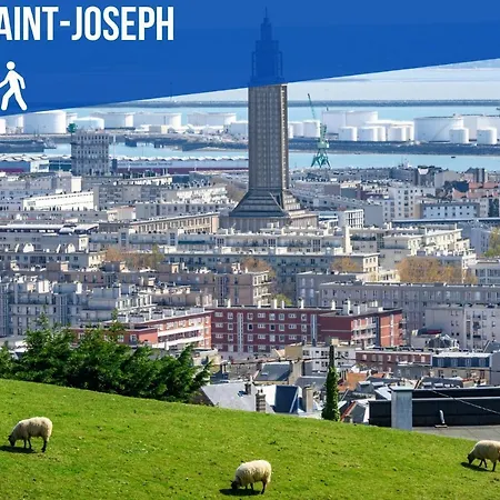 Le Haussmann Lh - Fibre - B'pam * Hawr